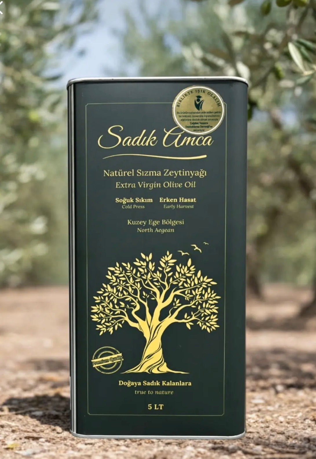 Olive Oil