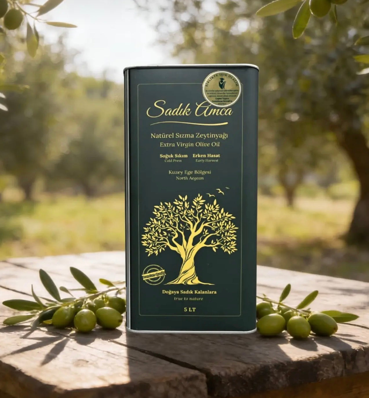 Olive Oil